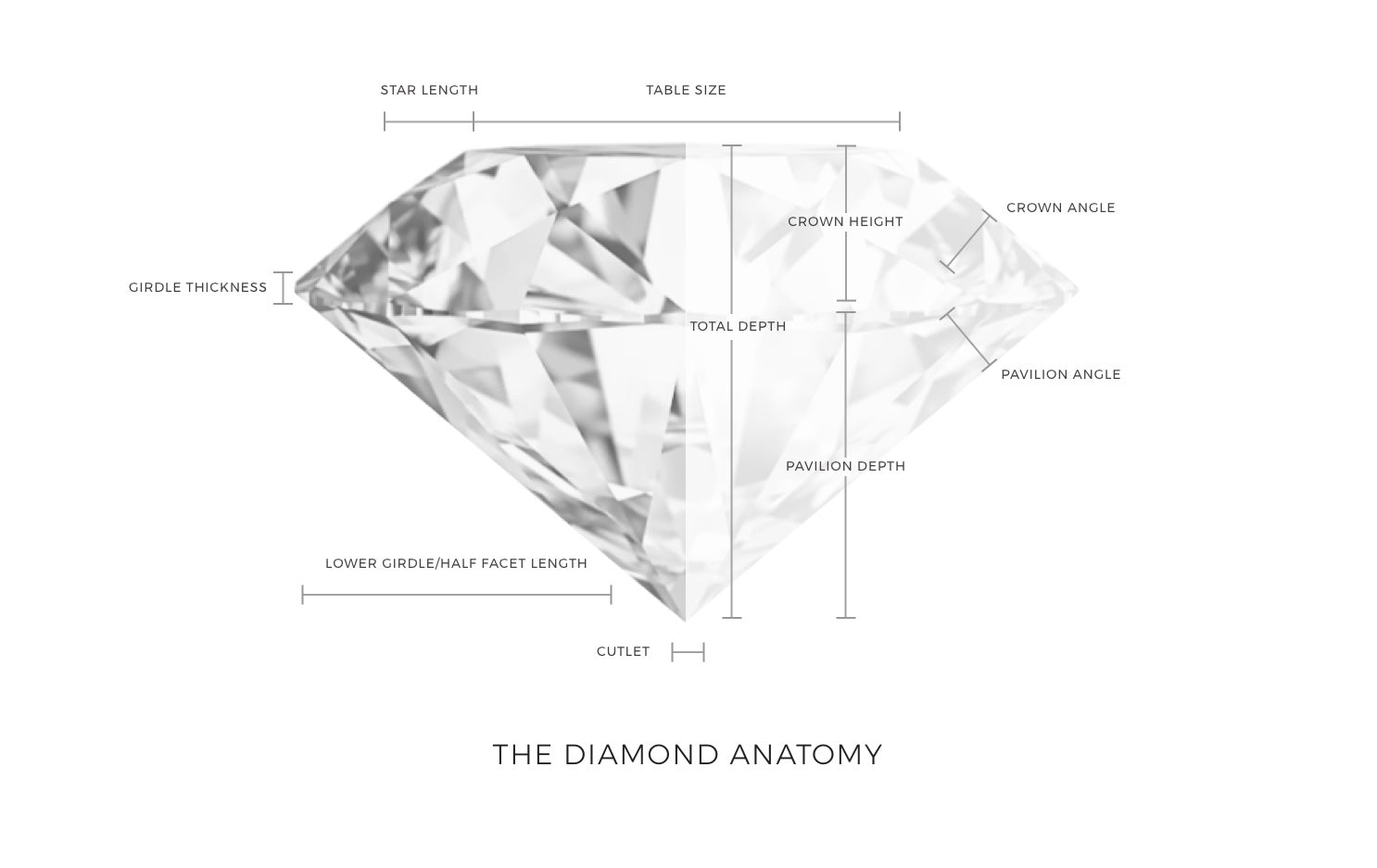 The Diamond Anatomy