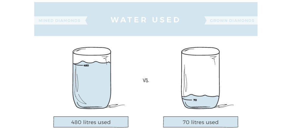 Earth Day Water Usage Fact